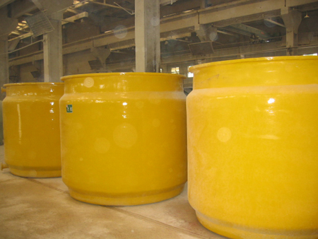 �����ִ���